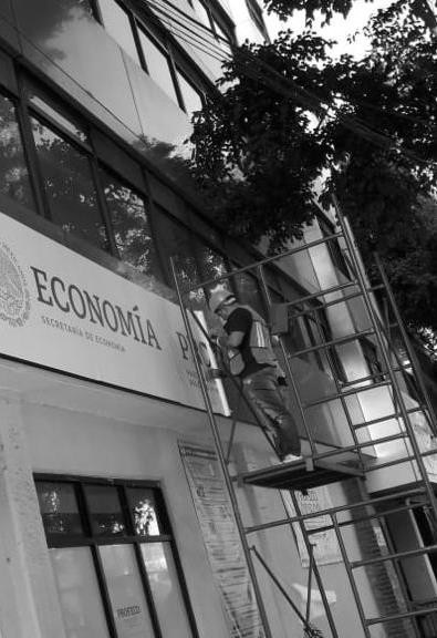 Profeco / Branding